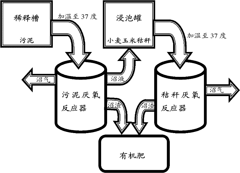 Method for combining sludge treatment and straw treatment to produce marsh gas