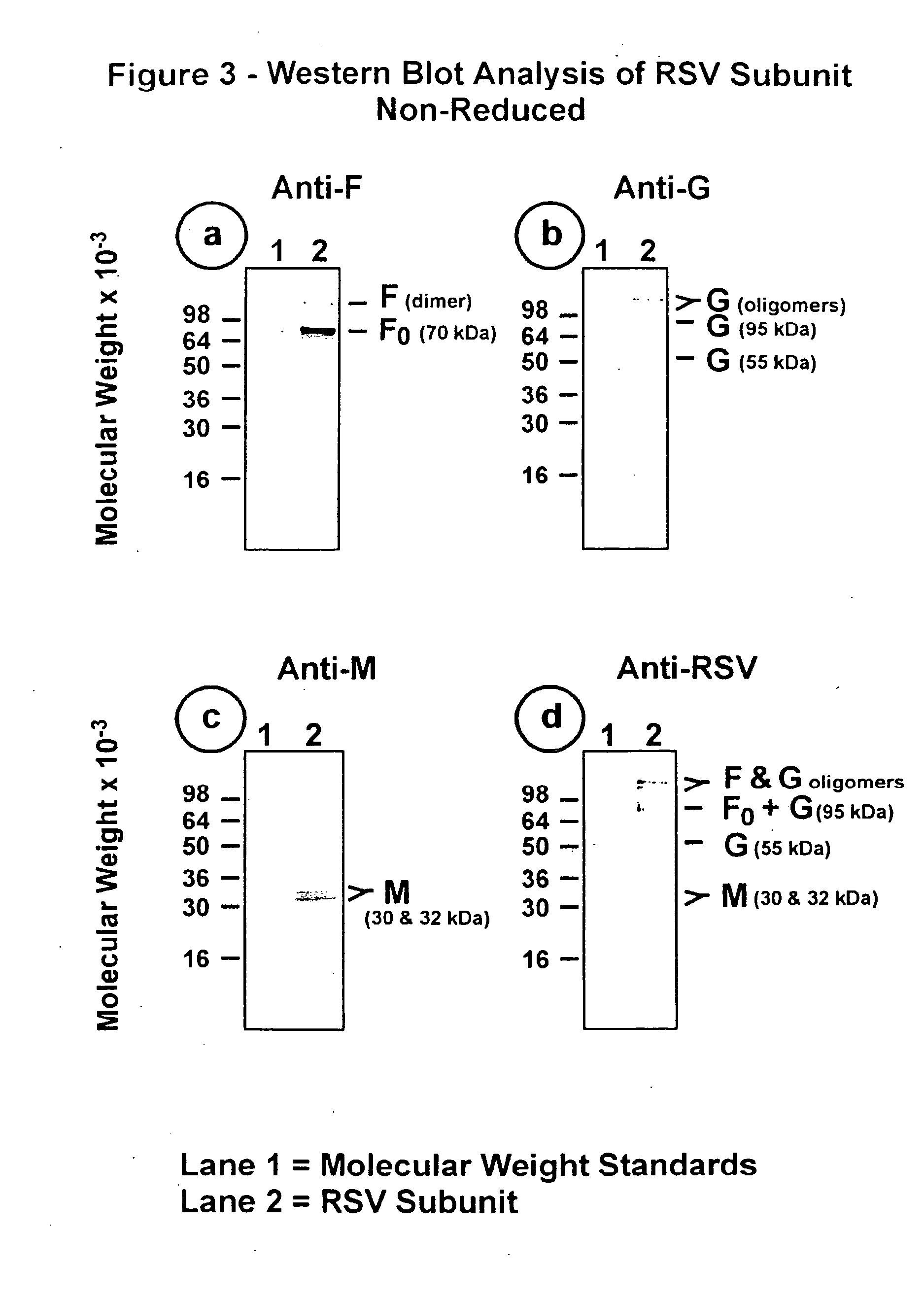 Subunit respiratory syncytial virus vaccine preparation