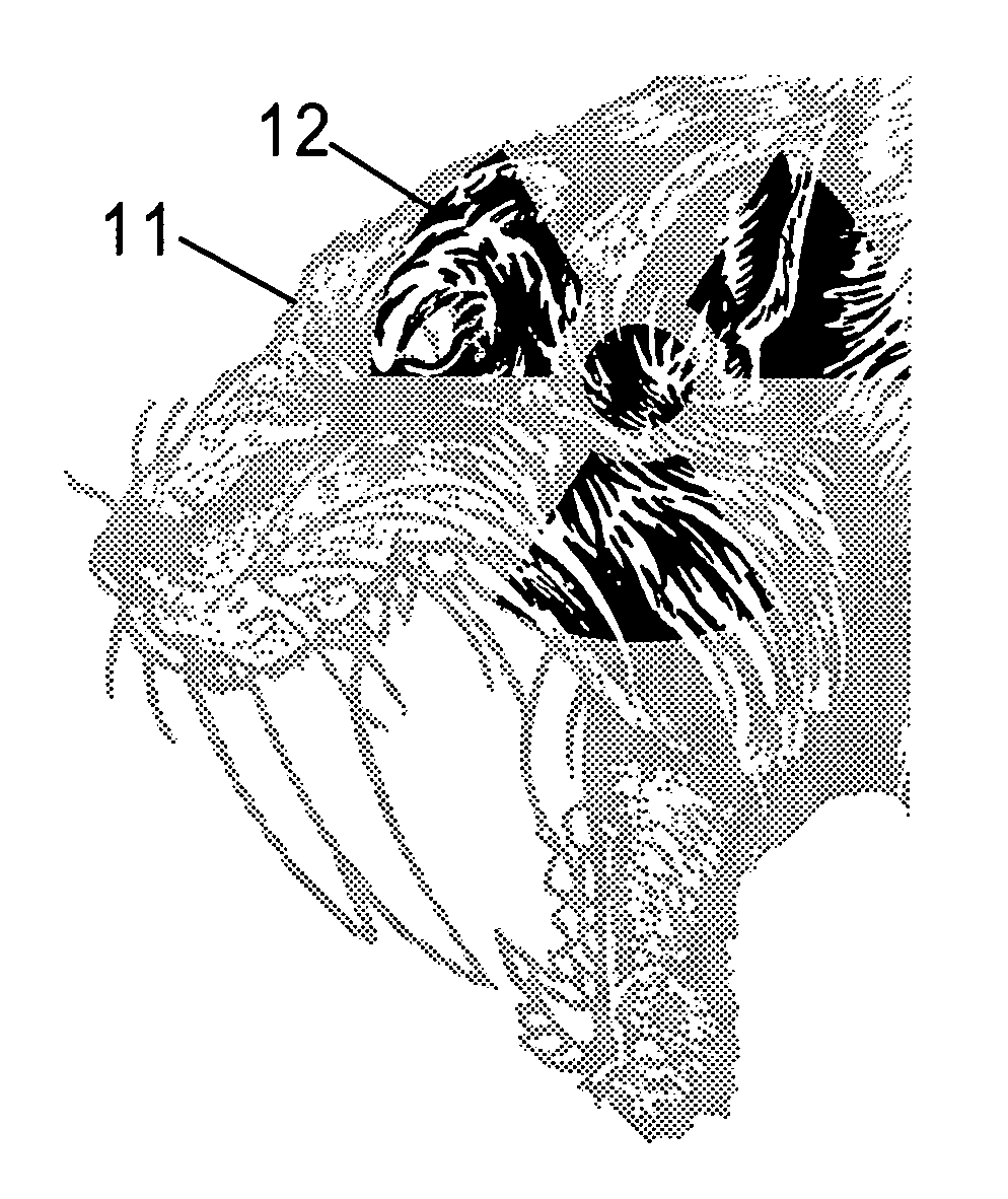 Appearance changing decorations on fabric using disappearing ink