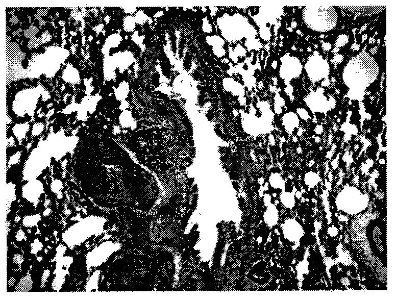 Crystalline pharmaceutical compound and preparation method and usage thereof