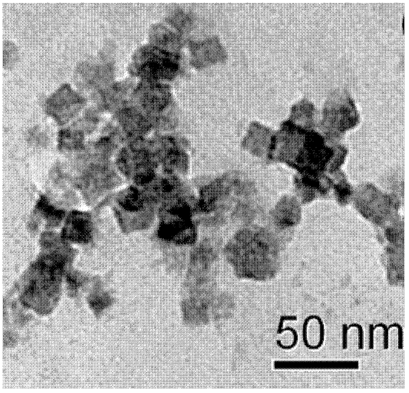 Surface amine functionalized rare earth doped BaFCl nanometer fluorescence labeling material and preparation method thereof