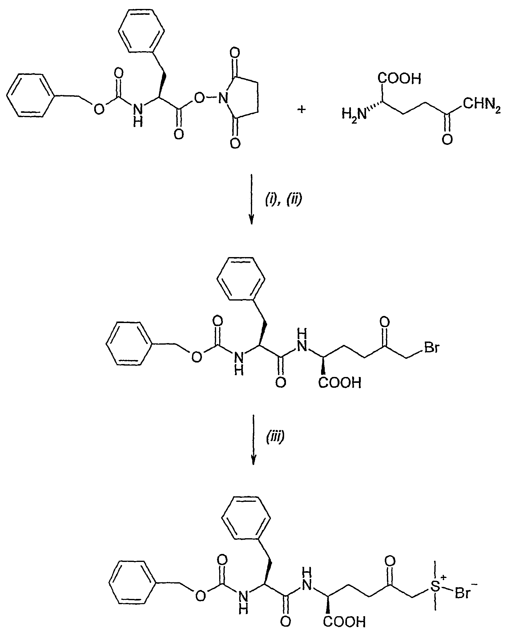 Amino acid derivatives and pharmaceutical uses thereof