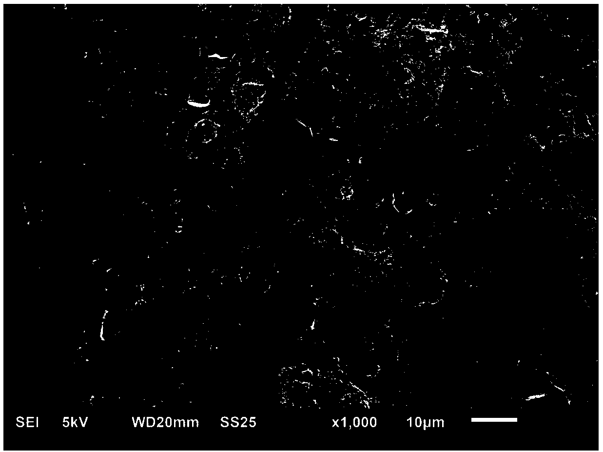 TiC/316L composite and preparing method thereof