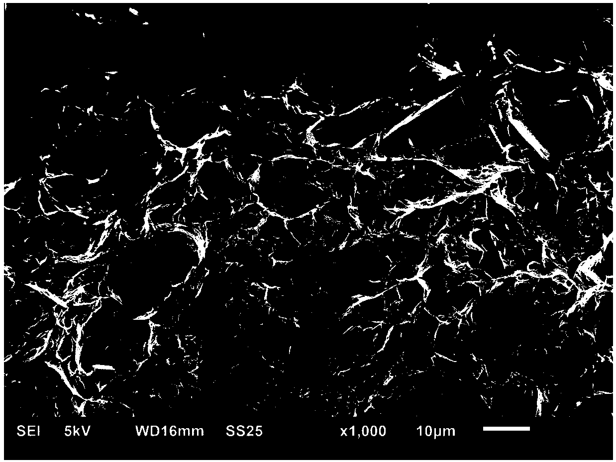 TiC/316L composite and preparing method thereof