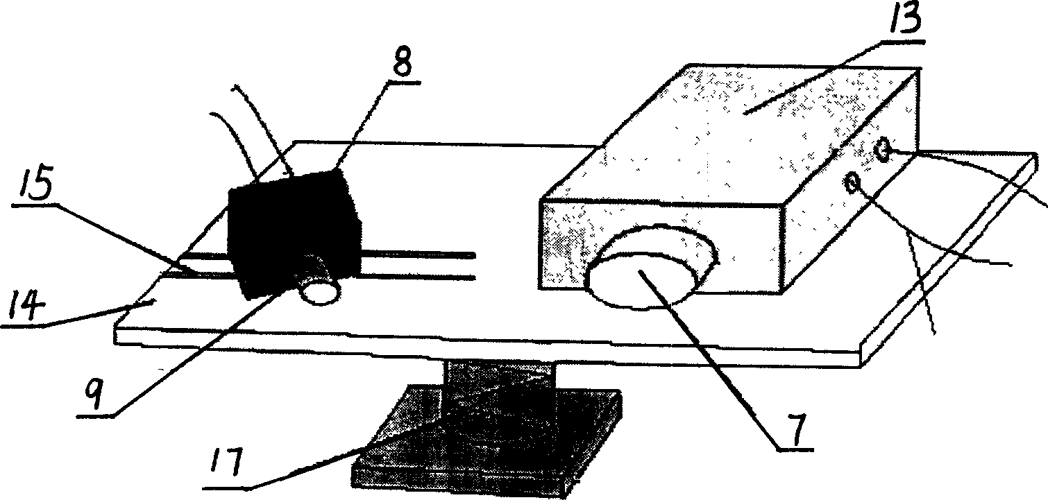 Raster projecting three-dimensional outline measuring apparatus and method based on phase shift