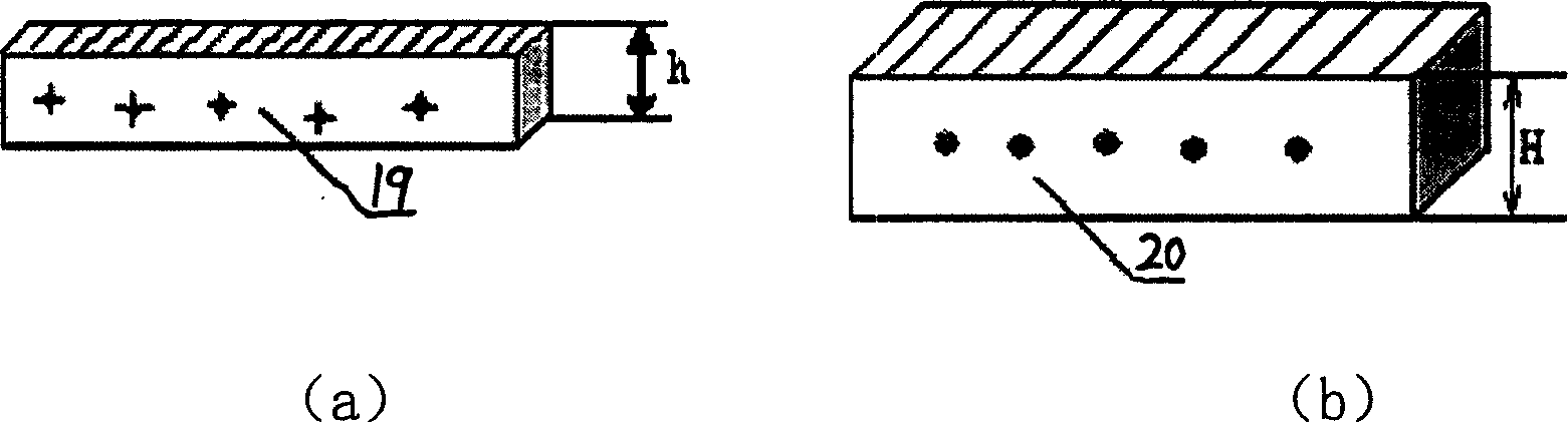 Raster projecting three-dimensional outline measuring apparatus and method based on phase shift