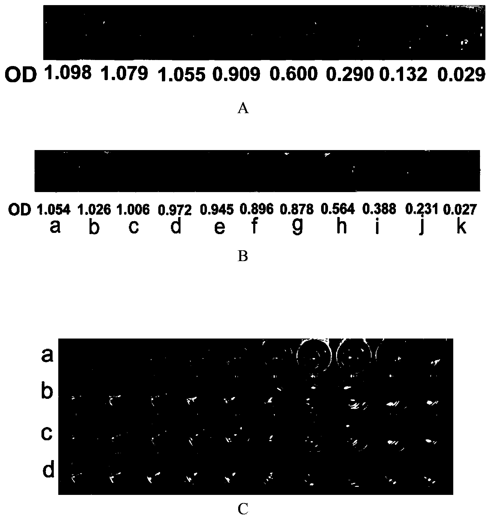 Double signal amplification ELISA detection method based on nanometer gold and graphene oxide