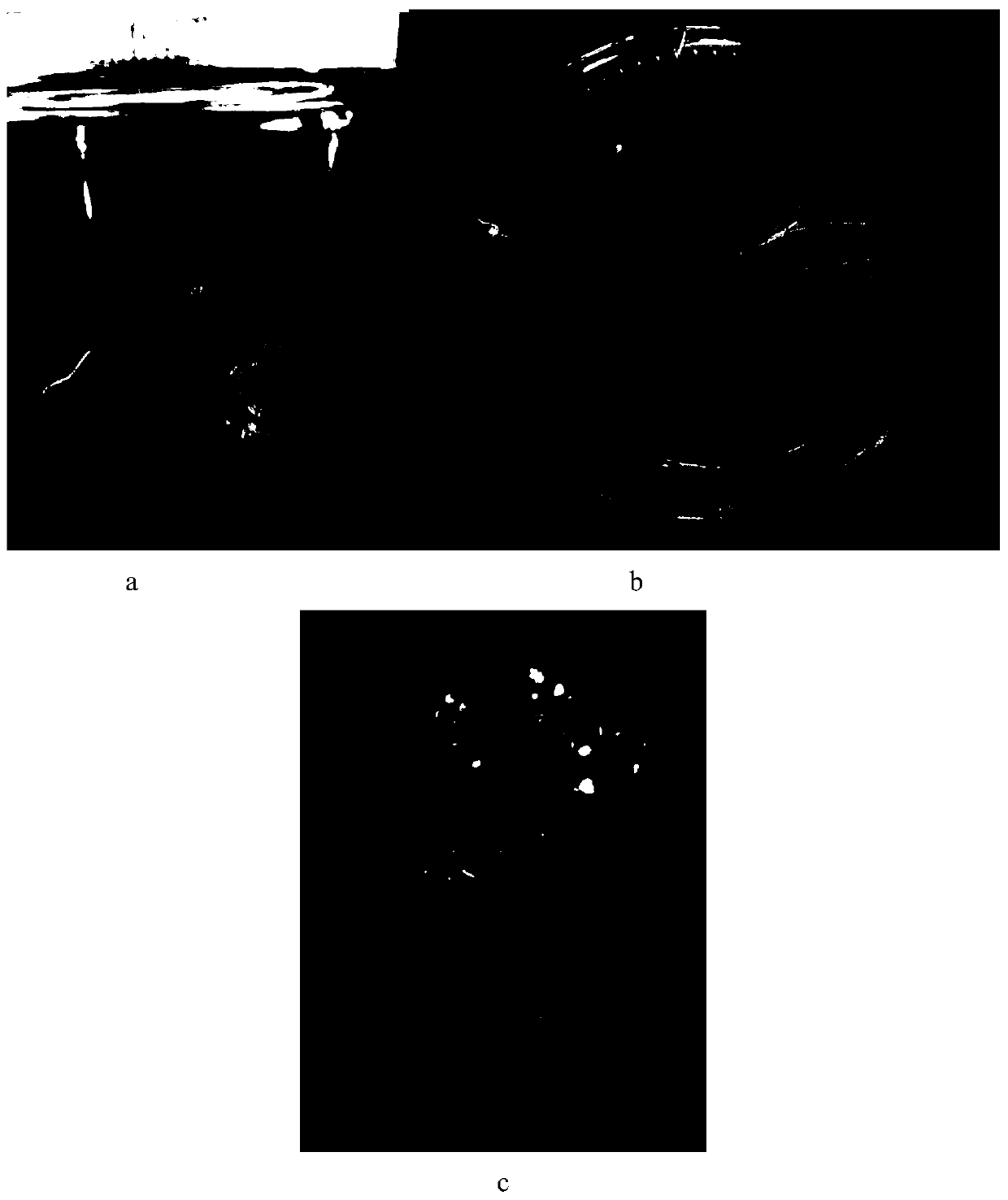 Gene and protein for quickening fruits to be mature, carrier, recombination gene engineering bacteria, and application of gene and protein