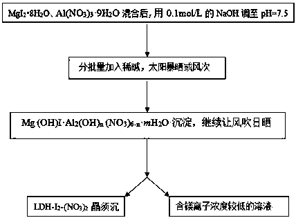 Layered double hydroxide LDH-I2-(NO3)2 whisker as well as preparation method and application thereof