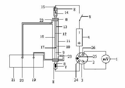 Device for determining migration number of hydrogen ions (H&lt;+&gt;) through interface method and method for determining migration number of H&lt;+&gt;