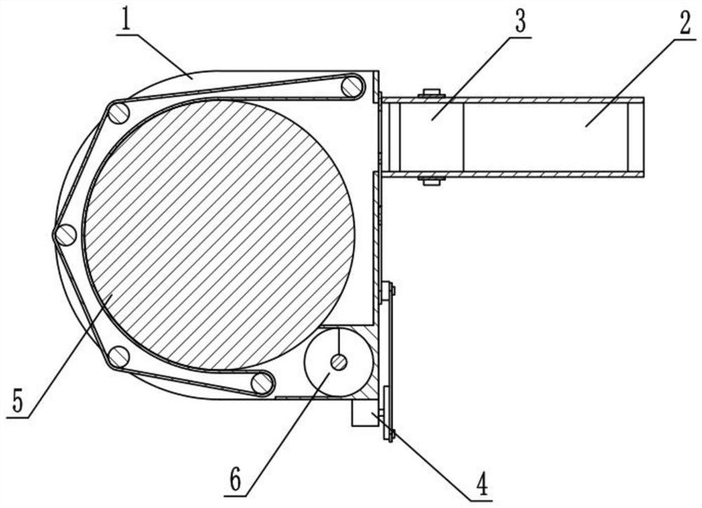 Feed and preparation process thereof