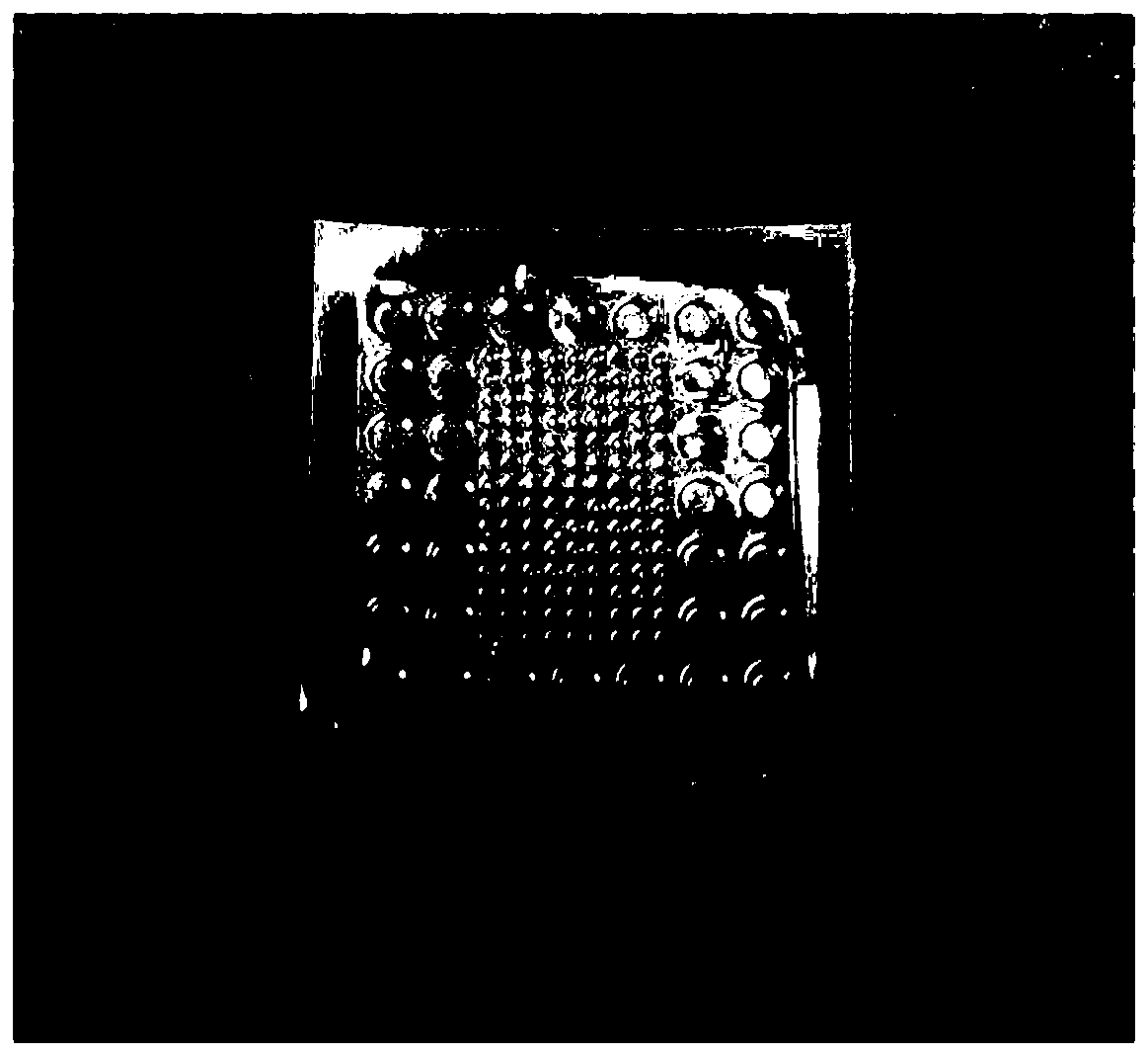 Bionic electrical activity moldable titanium reinforced composite film material and preparation method thereof