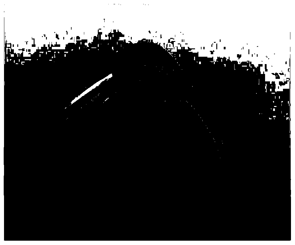 Bionic electrical activity moldable titanium reinforced composite film material and preparation method thereof