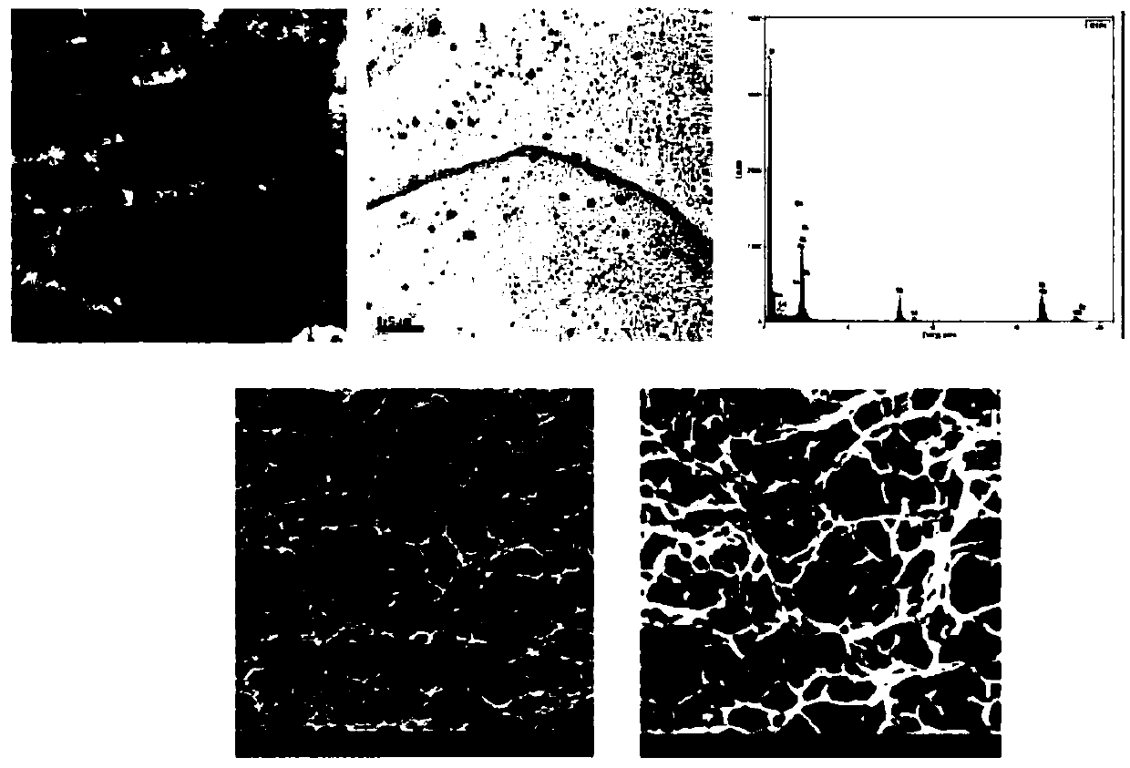 Lightweight high-strength dual-phase steel formula and galvanizing production process thereof