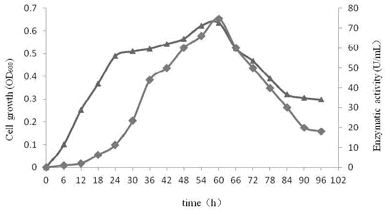 Strain capable of producing 1,4-beta-D-xylanase and application of strain