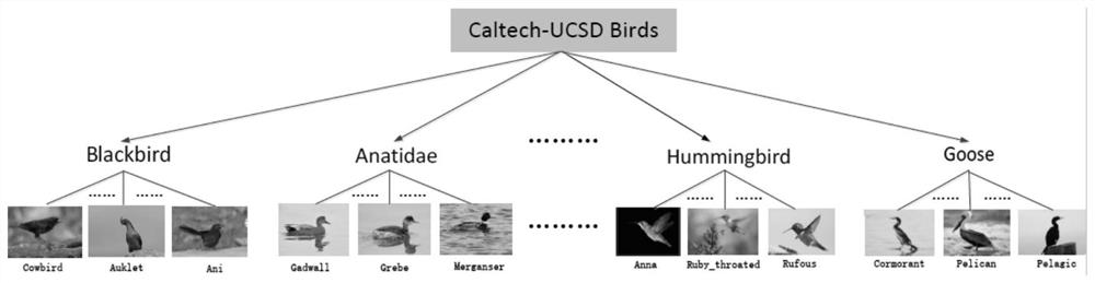 A Construction Method of Multi-task Classification Network Based on Orthogonal Loss Function