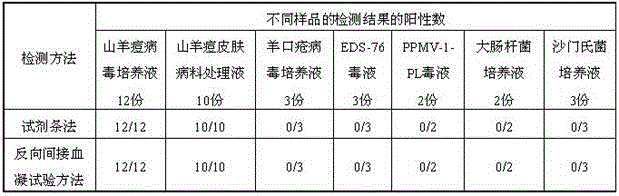 Colloidal gold test strip based on goat pox virus and preparation method thereof