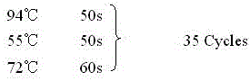 Colloidal gold test strip based on goat pox virus and preparation method thereof