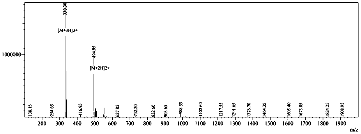 Cyclic peptide resistant to multi-drug resistant bacteria and preparation method and application thereof