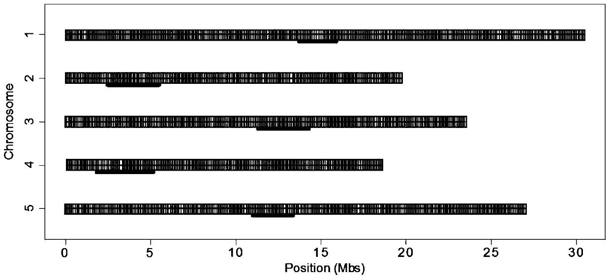 Restriction-site associated DNA sequencing library construction method, restriction-site associated DNA sequencing data analysis method, detection equipment and storage medium