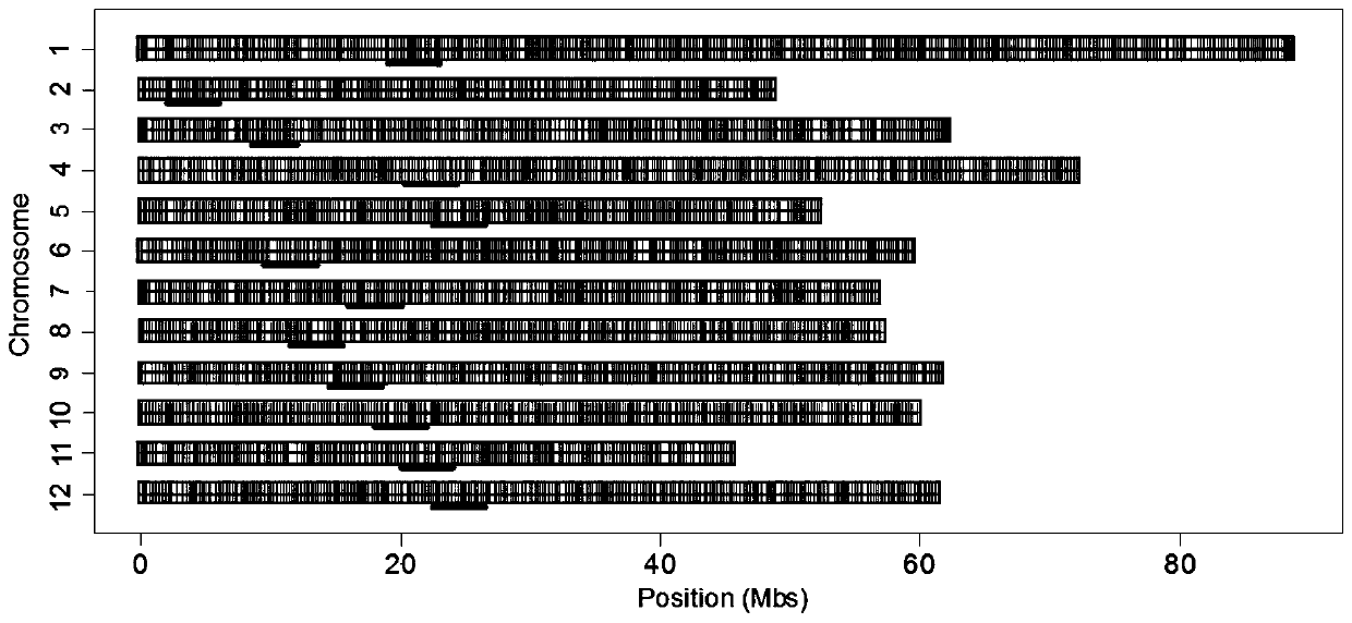 Restriction-site associated DNA sequencing library construction method, restriction-site associated DNA sequencing data analysis method, detection equipment and storage medium