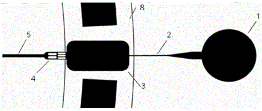 Micro-valve-based dual-detection microfluidic chip and diabetic model construction method