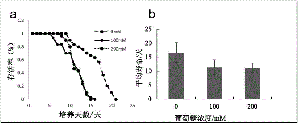 Micro-valve-based dual-detection microfluidic chip and diabetic model construction method