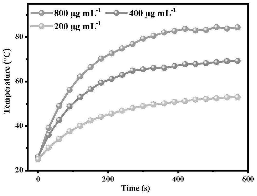 Novel NIR-II diagnosis and treatment integrated silicon-carbon nanoprobe and preparation method thereof