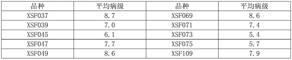 A rapid indoor identification method for maize disease resistance