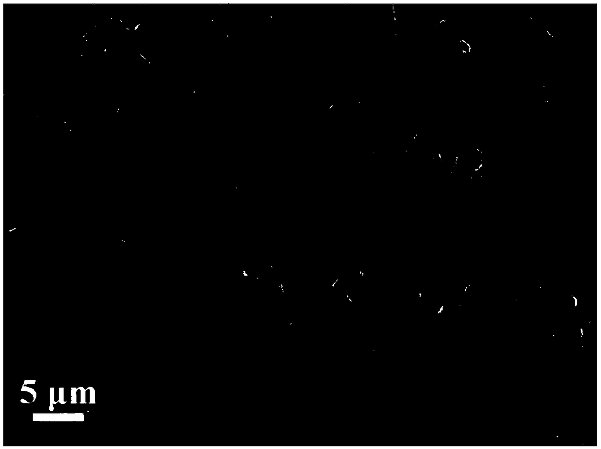 A kind of three-dimensional nitrogen-doped capsule carbon paper electrode material and preparation method thereof