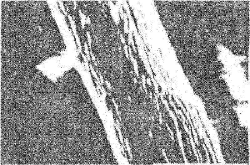 Wood and bamboo fiber mercerizing pulp and preparation method thereof