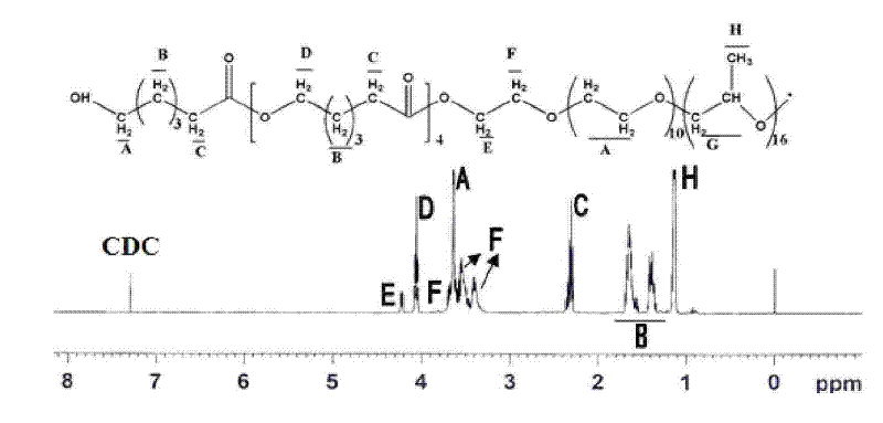 Degradable polyethyleneimine (PCFC-PEI) polymer preparation method and application in drug delivery system