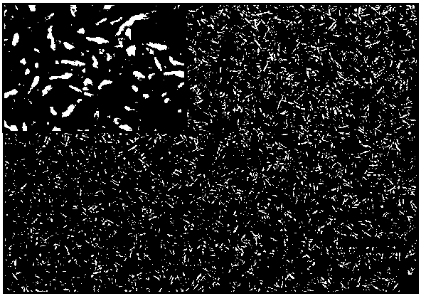 A thermal evaporation method for preparing near-stoichiometric cds thin films with quantum dots as precursors