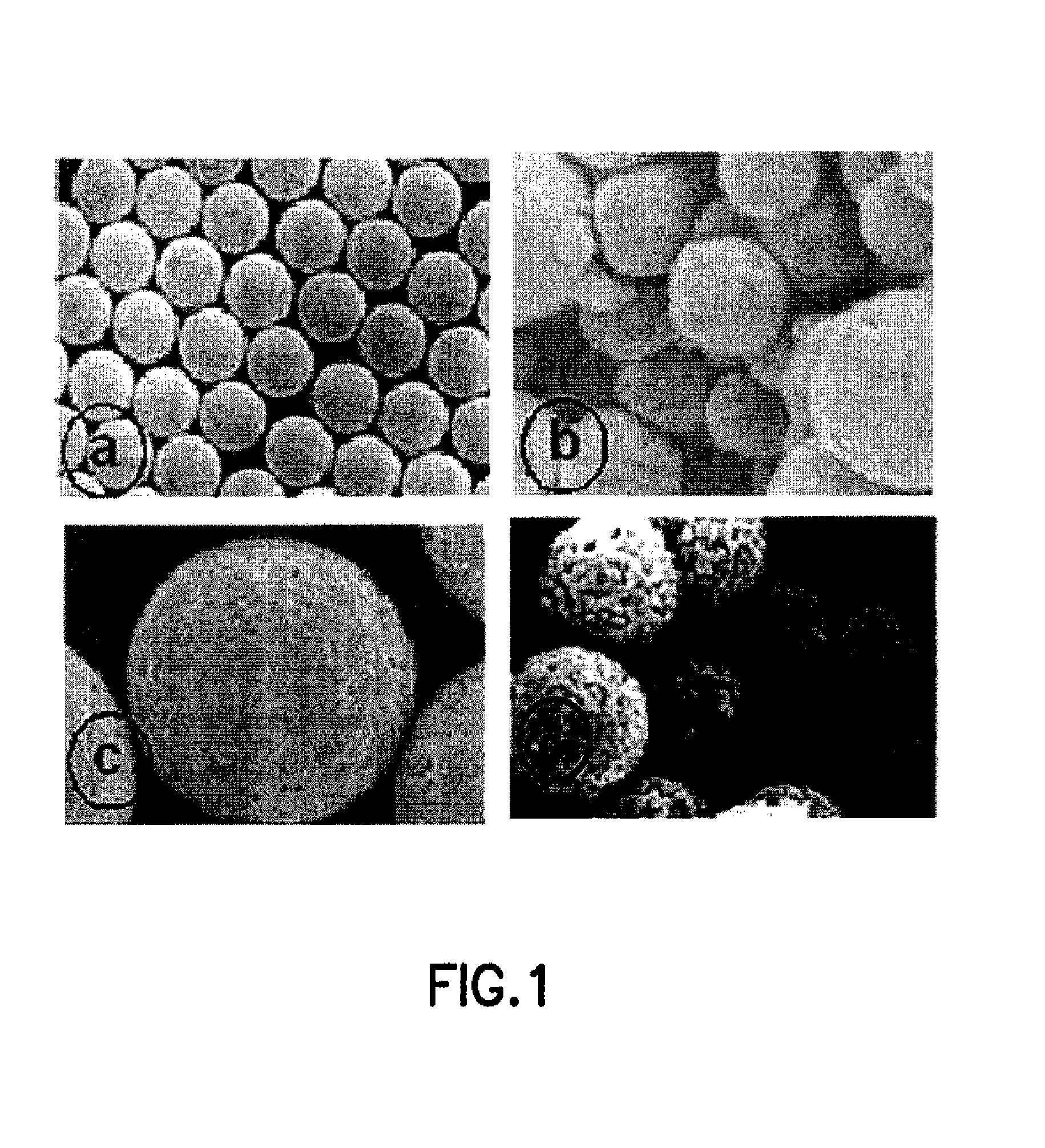 Method for classifying scientific materials such as silicate materials, polymer materials and/or nanomaterials