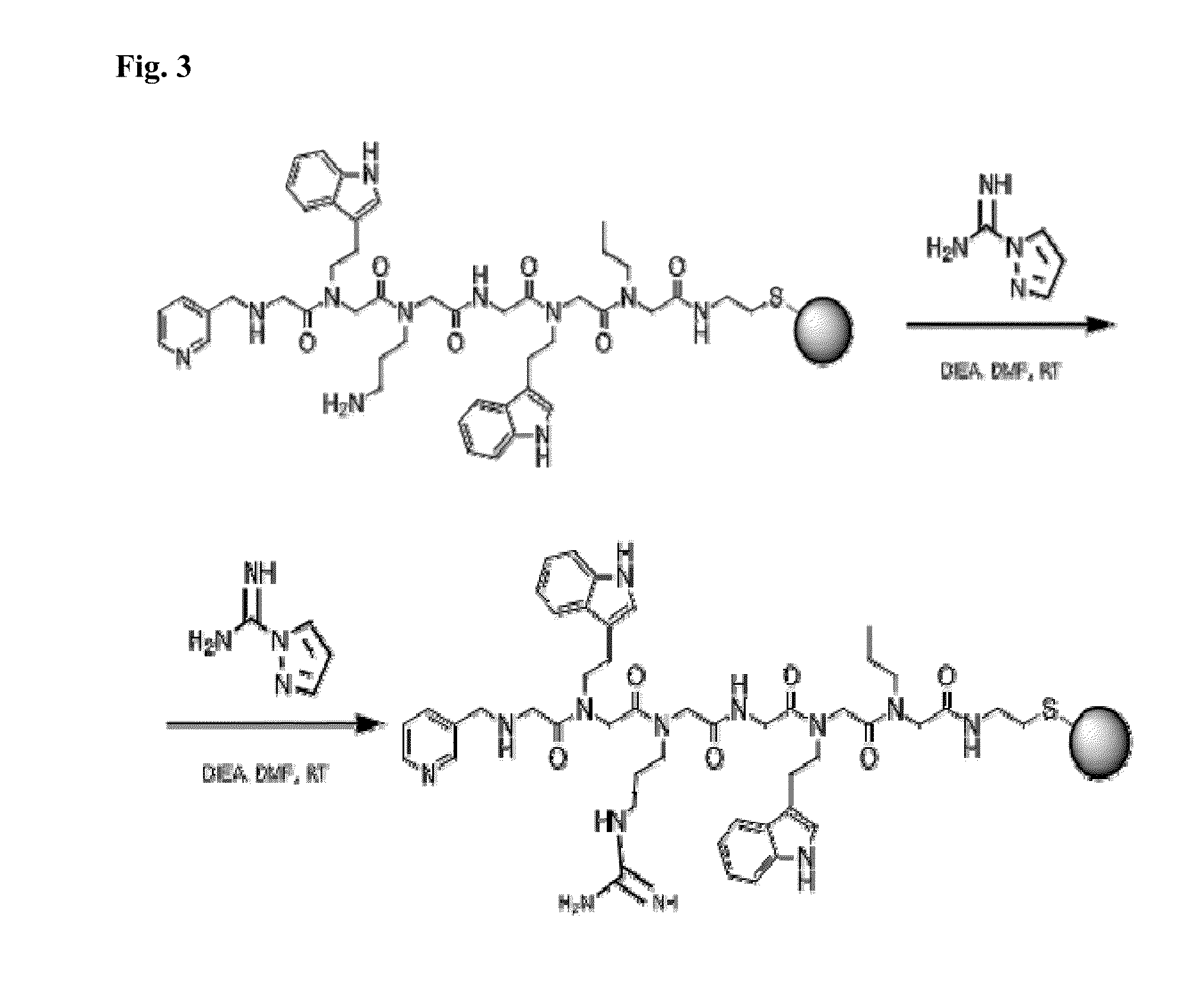 Peptoid affinity ligands