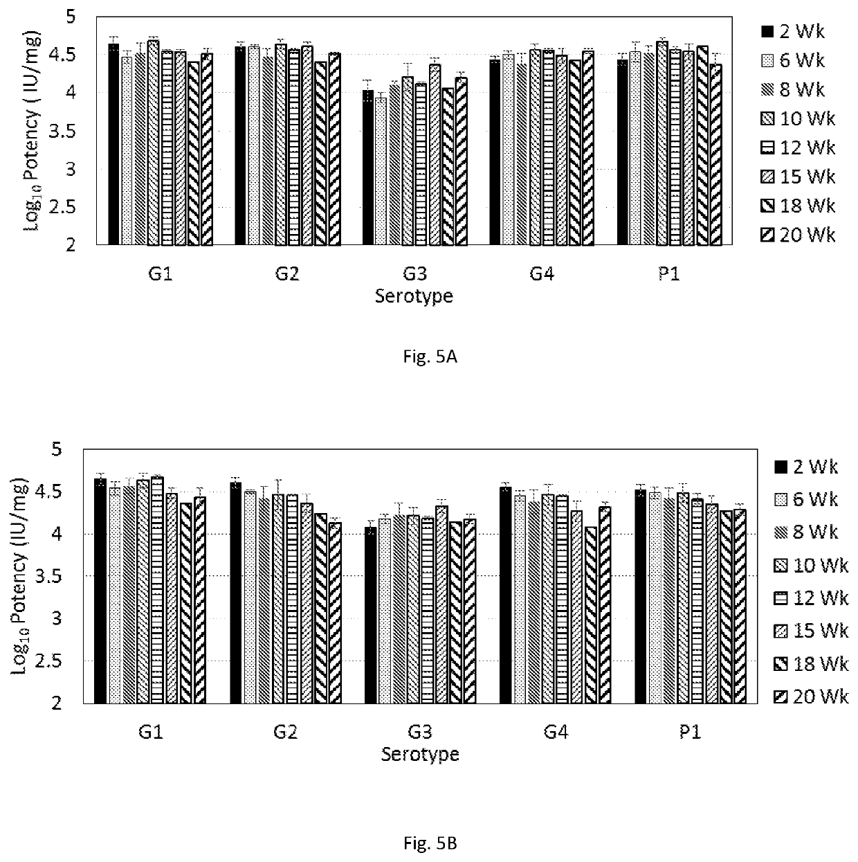 Thermostable spray dried rotavirus vaccine formulation and process thereof