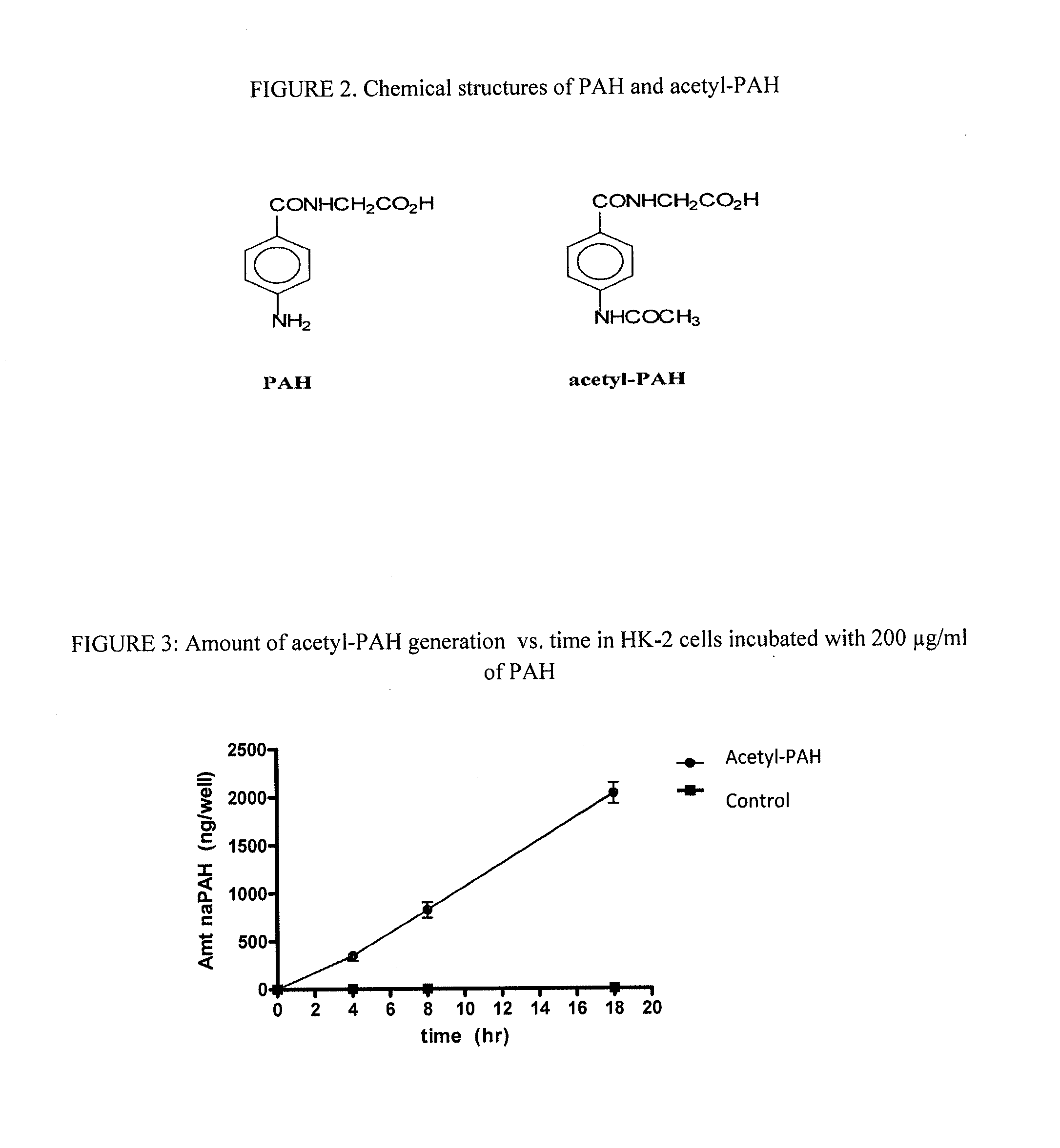 Method of screening pharmaceuticals for drug interactions and nephrotoxicity