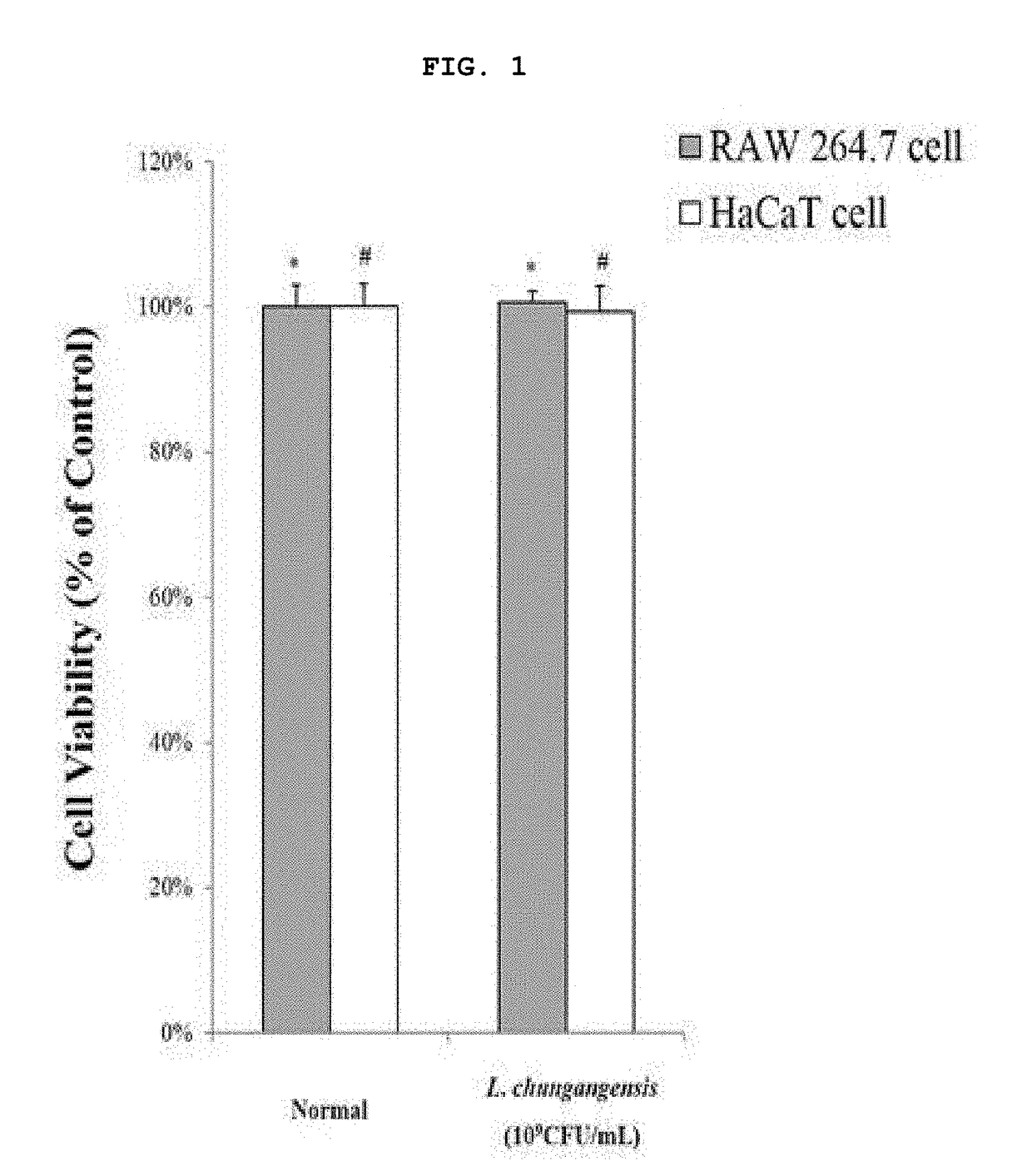 Pharmaceutical composition for preventing or treating inflammatory diseases, containing lactococcus chungangensis as active ingredient