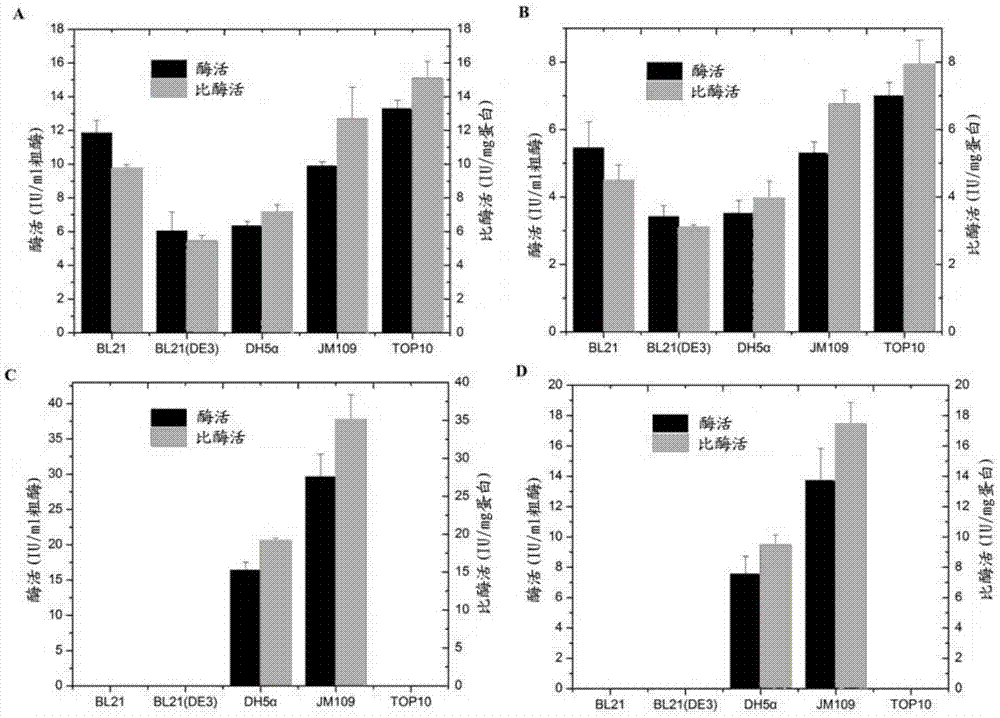 Preparation method and application of chondroitin sulfate ABC enzyme fusion protein