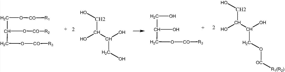 A two-component solvent-free vegetable oil-based adhesive