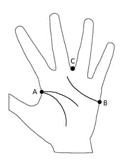 Mobile Internet palm print identity authentication method