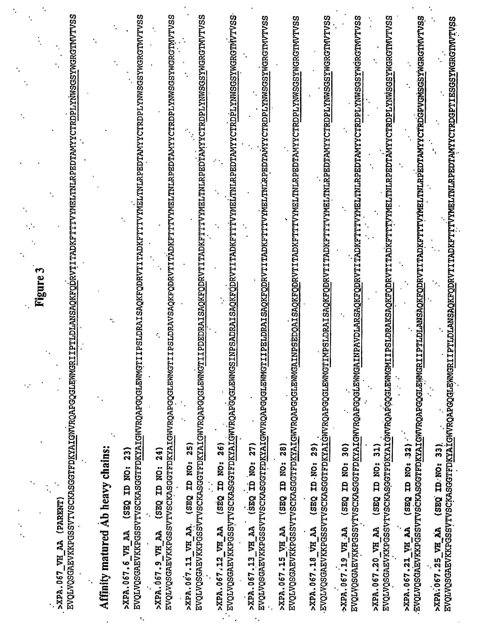 Human antibodies specific for gastrin materials and methods