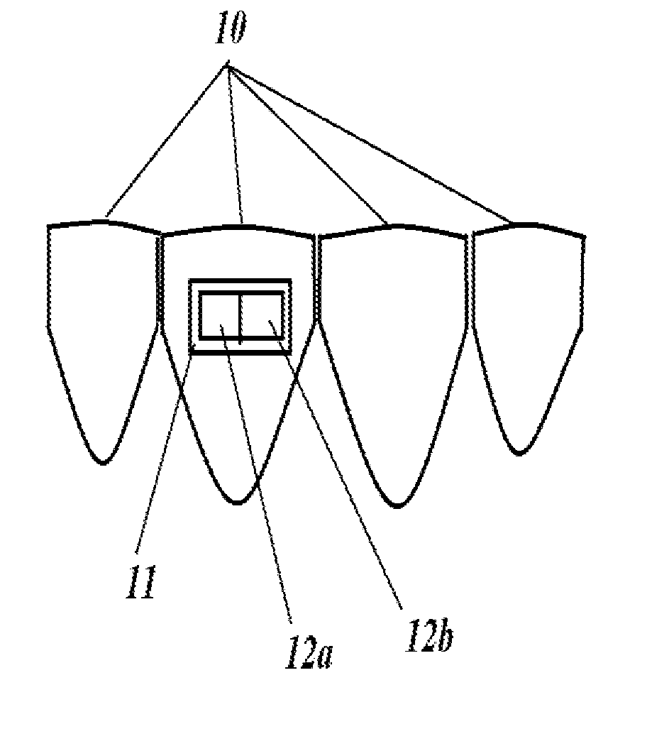 Method and Apparatus for Preventing Plaque, Calculus, and Hard Deposits in Body Cavities and the Mouth