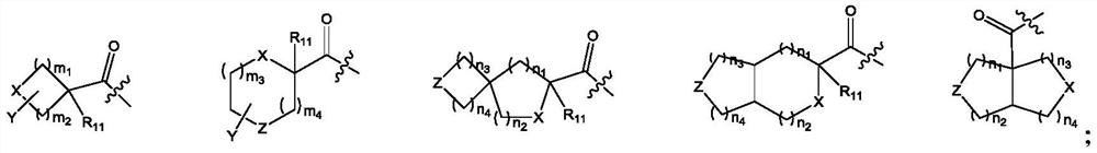 Polypeptide compound and application thereof