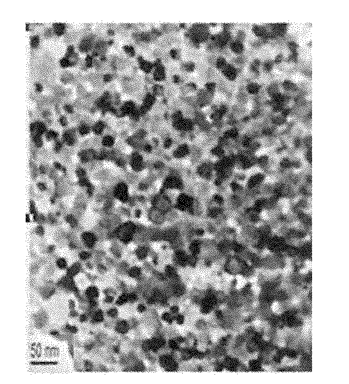 Method for preparing microwave-assisted non ball milling rare-earth superfine powder