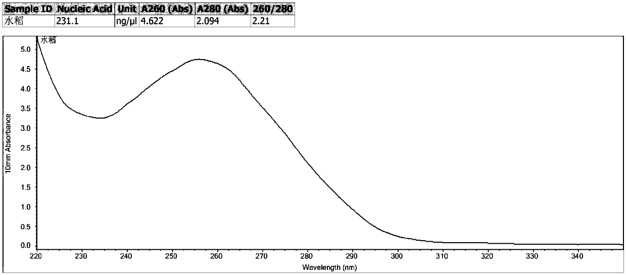 Genomic DNA extraction kit and method