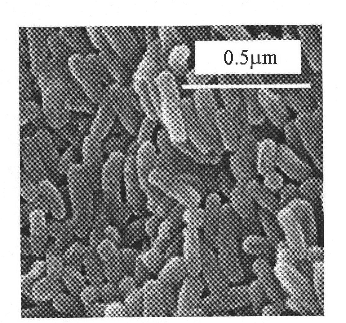 Method for preparing mesoporous silicon dioxide nano rod through regulation and control