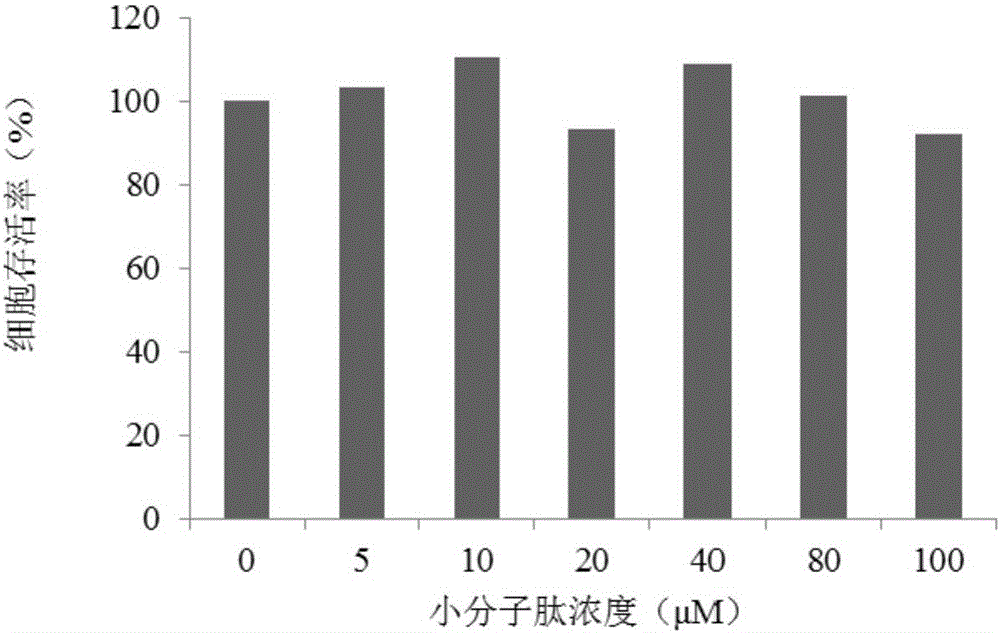 DENV (Dengue virus) protein E blocking peptide P7 and application thereof