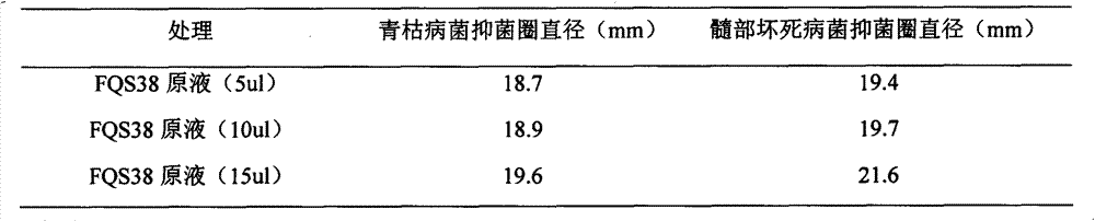 Bacillus amyloliquefaciens FQS38 and application thereof