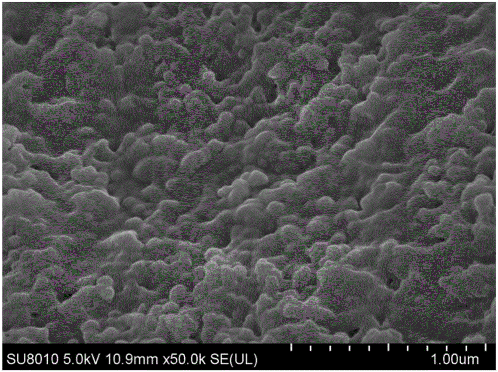 Application of nano-iron synthesized by tea leaves in p,p'-DDT removal